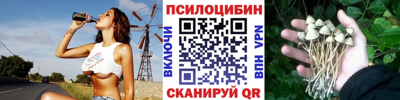 Псилоцибиновые грибы MAGIC MUSHROOMS  KRAKEN сайт  Мончегорск 