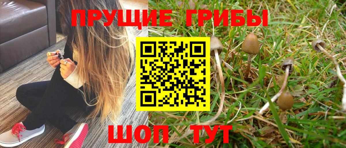 Псилоцибиновые грибы мухоморы  Вход с VPN  Псилоцибиновые грибы MAGIC MUSHROOMS  Мончегорск 
