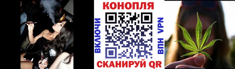 Конопля гибрид  Мончегорск 